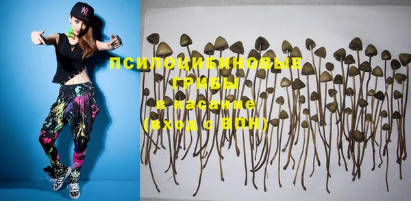PSILOCYBIN Покачи