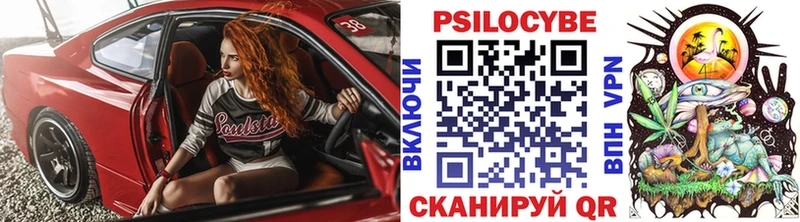 Псилоцибиновые грибы Psilocybine cubensis  Купить где  Кочубеевское 